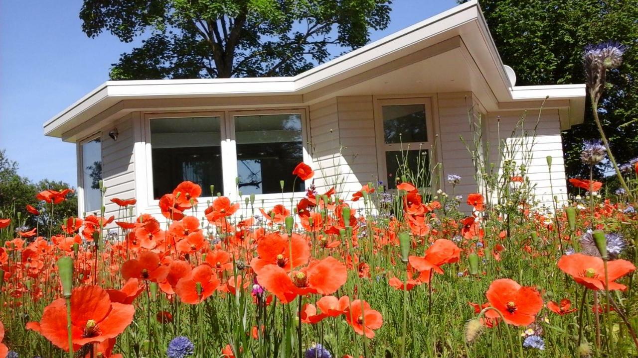 הוילה הילברסום Het Findament Tiny House מראה חיצוני תמונה